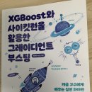부스팅 미디어