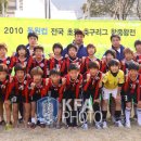 부양초등학교 이미지