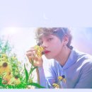 태형 이미지