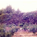 삼달1리 이미지