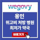용인 위고비 처방 병원 최저가 약국 가격 비교 가장 싼 곳 후기