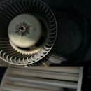 스타피시존 이미지