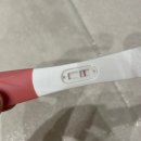 임신극초기 증상 공유 임신 비법 꿀팁 임신 초기 착상 증상 수원 산부인과 추천