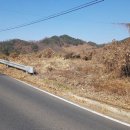 상천리-1 이미지