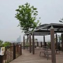 밤바람 Daum카페