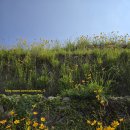 마을산책 이미지