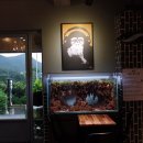 플랜츠비 이미지