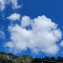 뒷동산농원 이미지