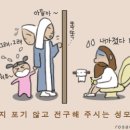 성모의지 이미지