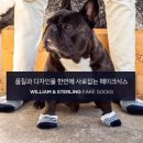 스털링앤컴퍼니 | 페이크삭스 남자 발목양말 리얼후기!