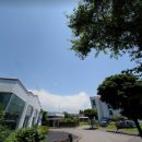 동광리-1 이미지