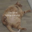 유크리