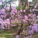 성안드레아 병원 이미지