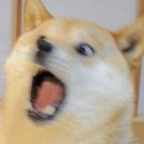 날아라벨라 이미지