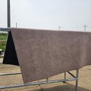 보람세탁 이미지