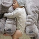 코끼리세탁 이미지