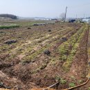 정족동농장 이미지