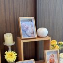 코트야드 메리어트 수원 이미지