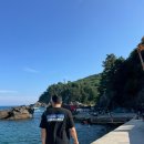 하늘다음태백친환경산양목장 | [여름휴가 마지막] 추암해변 출렁다리&amp;촛대바위, 물회맛집 행복횟집, 스노쿨링 명소 대진항&amp;비화항...