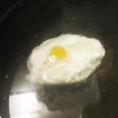 포치드 이미지