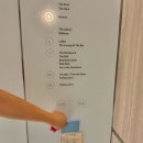 동해건어물야채 | 강릉 씨마크 호텔 여름휴가 트윈 더블 더블 오션뷰 객실 후기와 여름 업장 정보