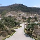 푸른산수목원 이미지