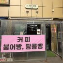 카페드가을