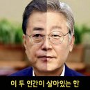 대전 최대 규모 &#39;尹대통령 탄핵 반대집회&#39; 기각해야 20250224 조선外 이미지