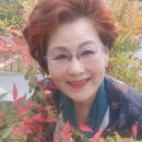 승호네 티스토리