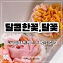 달꽃설기 | 춘천원데이클래스 가벼운선물로 좋은 컵설기케이크 떡 케이크 전문점 달콤한꽃달꽃