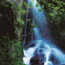 백운산계곡 화장실 이미지