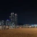 댕댕월드 이미지