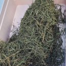 충남귀농귀촌학교후기(3)-1일차(지역선택,농촌이해)