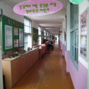 창오초등학교 이미지