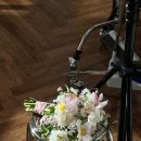 사람이 꽃보다 아름 | 1] 📸서울 비마이스튜디오 웨딩촬영 후기 | 이효동 작가님 | 💇🏻‍♀️헤어변형 아름보다 | 👗촬영드레스...