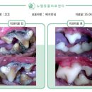 뉴엘동물의료센터 네이버블로그