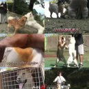 무량농장 이미지