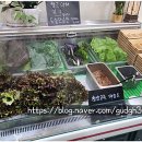 자연담은 이미지