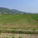 득량면사무소 이미지