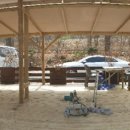 양지촌식당 이미지