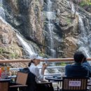 카페42(CAFE42)