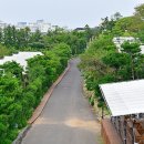 제주시 자연인 티스토리