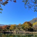 유명산밸리 캠핑장 이미지