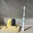 진동시장 | 시스테마 칫솔 미세 음파 진동칫솔 입문 코스트코 칫솔 후기