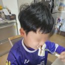 아들떡집 | 울산 떡집 추천 봄날떡집 아들 생일떡 맞추러 다녀온 후기