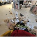 어뮤즈 호텔 이미지