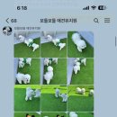 보들보들 유치원 이미지