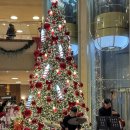 이재우 | 2025년 12월 13일 국립발레단의 호두까기인형 서울 첫 공연 후기 - 조연재와 이재우