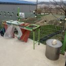 아름드리 | [경북 경주] 아름드리캠핑장 - A1사이트 후기, 울산/부산근교 캠핑장 추천