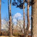 삼평어린이공원 이미지